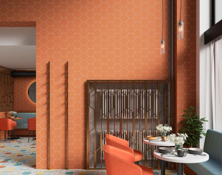 Cevica Boom